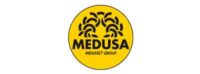 Logo Medusa